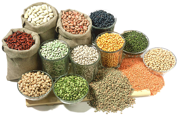 PULSES & GRAINS